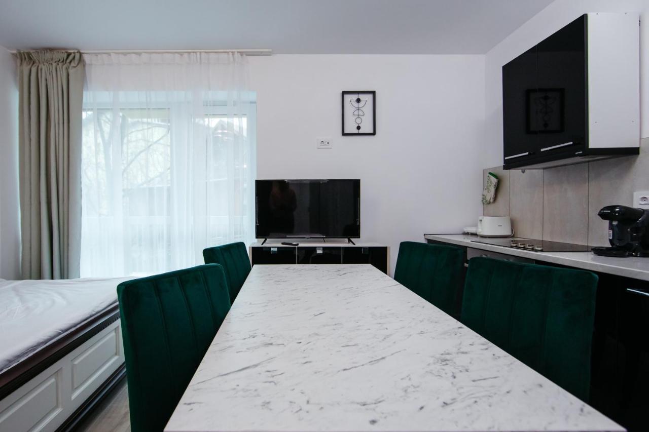 Apartamento L&V Family Studio Sinaia Exterior foto
