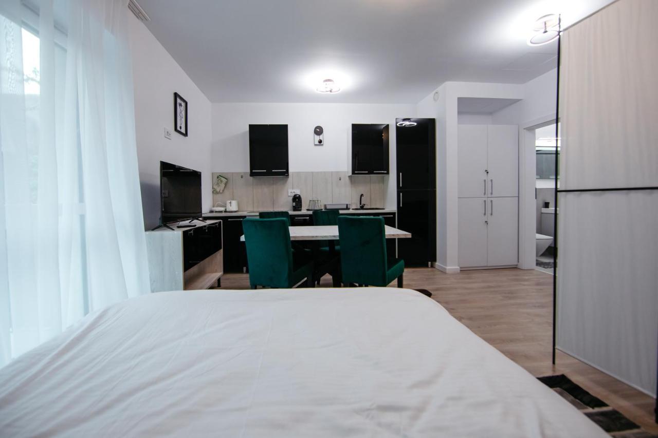 Apartamento L&V Family Studio Sinaia Exterior foto